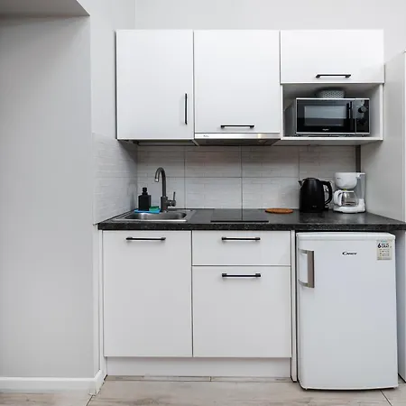 Manufaktura By Bookinghost Lejlighed